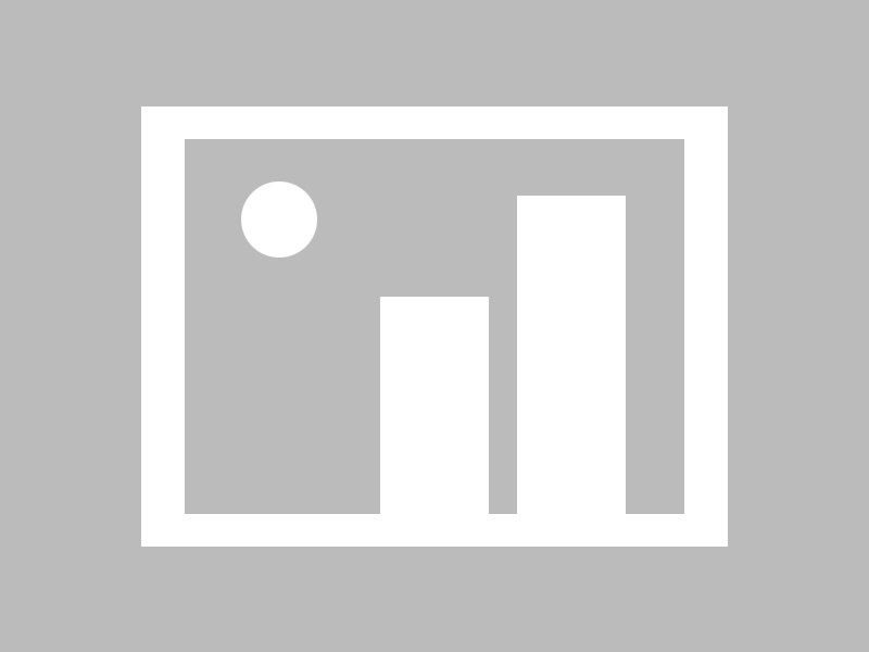 开云APP|自行车赛事v6.2.6